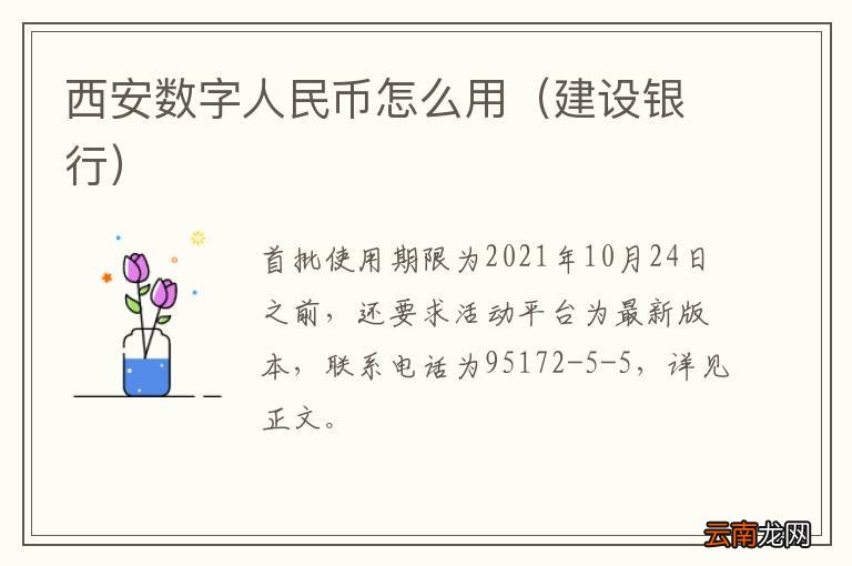 建设银行 西安数字人民币怎么用