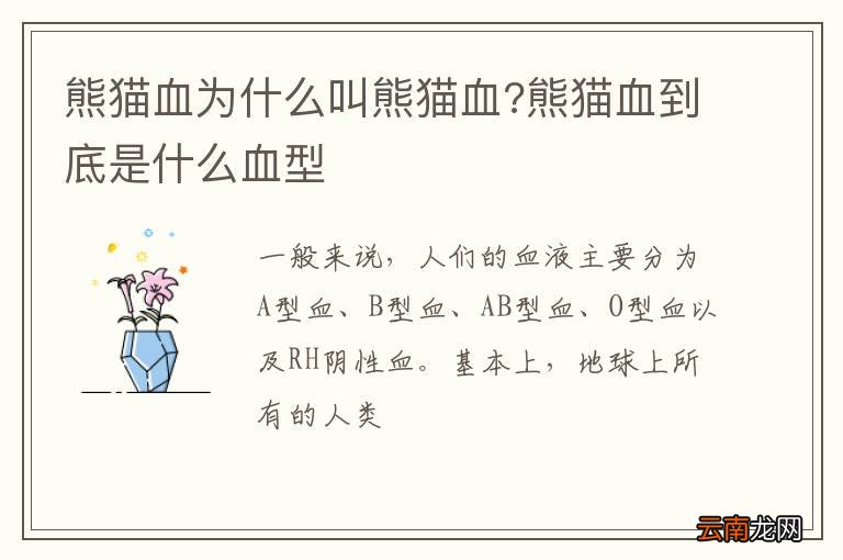 熊猫血为什么叫熊猫血?熊猫血到底是什么血型
