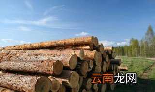 自己种的树能砍伐吗 给大家解释一下