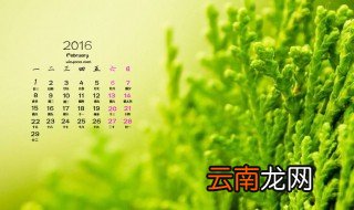 2016年的2月有几天 怎么知道每年的2月有多少天