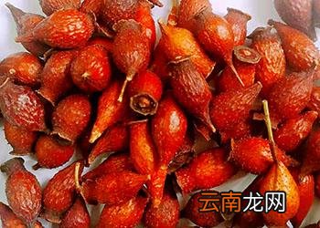 金樱子