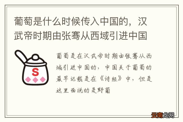 葡萄是什么时候传入中国的，汉武帝时期由张骞从西域引进中国的
