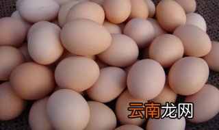 土鸡蛋和饲料鸡蛋的区别 你是否了解呢