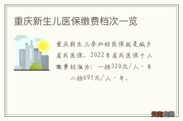 重庆新生儿医保缴费档次一览