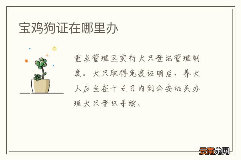 宝鸡狗证在哪里办