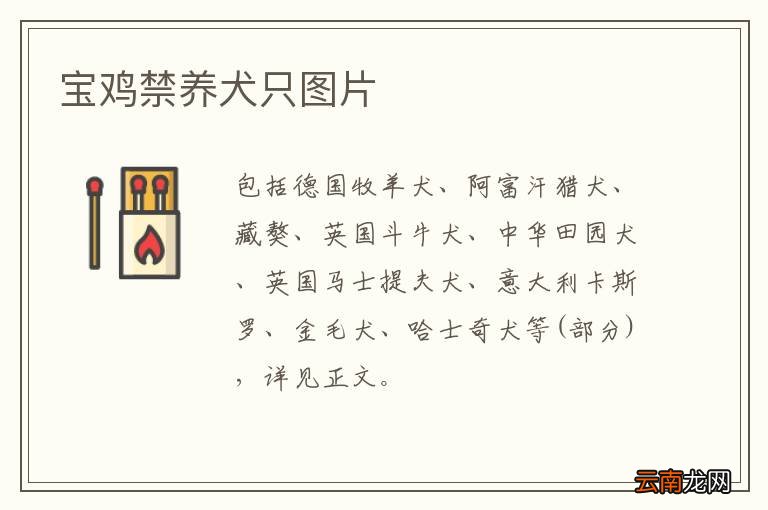 宝鸡禁养犬只图片