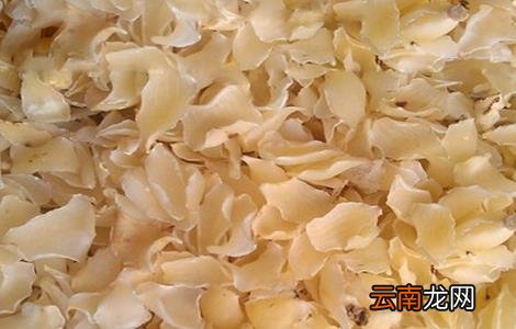 百合对生长环境的要求