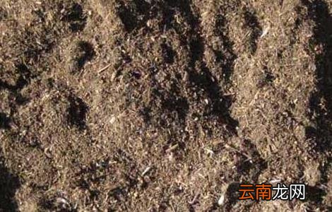 化肥与农家肥混合使用的好处