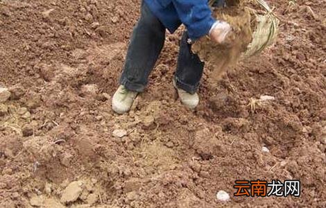 化肥与农家肥混合使用的好处