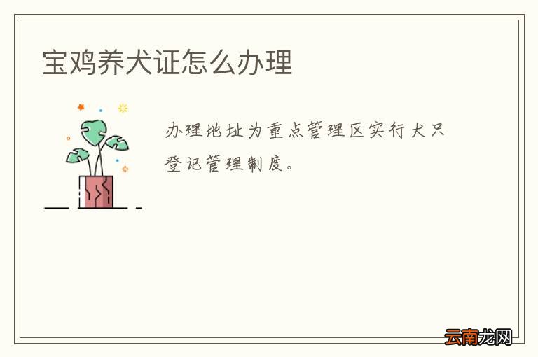宝鸡养犬证怎么办理