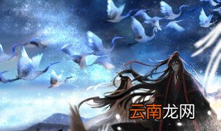 温情的结局 温情简介