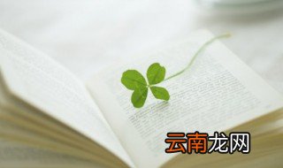 意义是什么意思 意义是什么意思解释