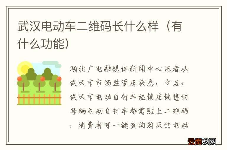 有什么功能 武汉电动车二维码长什么样