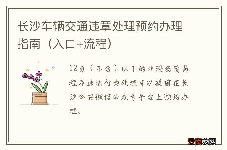 入口+流程 长沙车辆交通违章处理预约办理指南