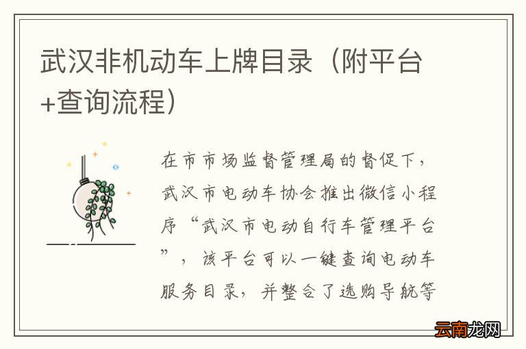 附平台+查询流程 武汉非机动车上牌目录