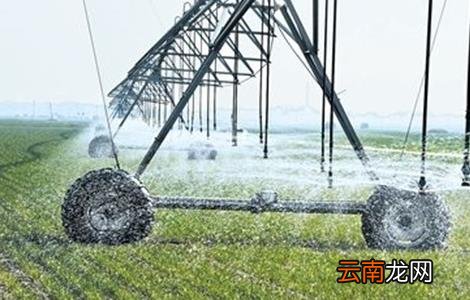 小麦需要什么生长环境