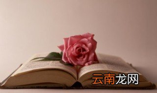 你还小只知道黑色和御姐是什么意思 御姐是什么意思