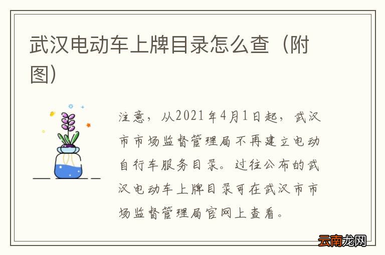附图 武汉电动车上牌目录怎么查