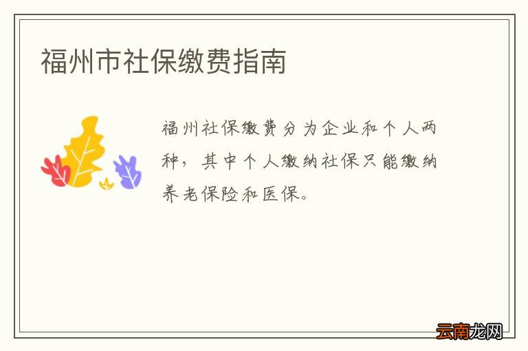 福州市社保缴费指南