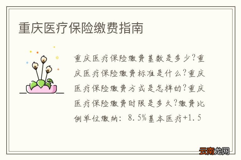 重庆医疗保险缴费指南