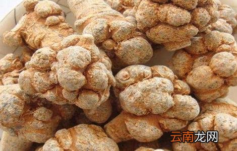 田七的种植方法