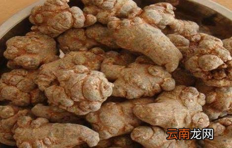 田七的种植方法