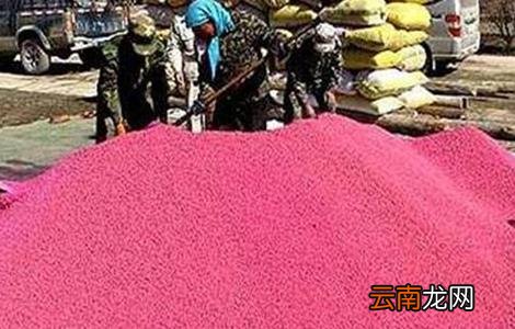 小麦种子播种前处理