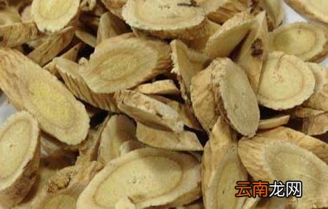北芪的功效与作用