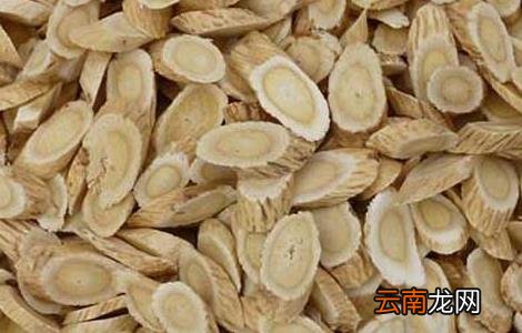 北芪的功效与作用