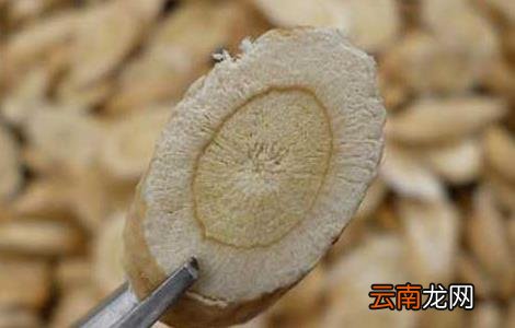北芪的功效与作用