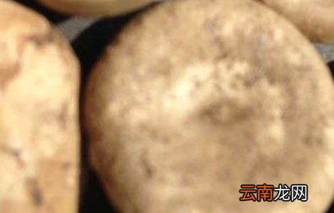 马钱子中毒的解救方法