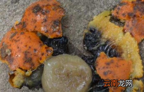 马钱子中毒的解救方法