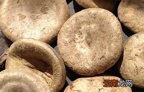 马钱子中毒的解救方法