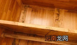 太潮湿柜子发霉怎么办 太潮湿柜子发霉解决方法