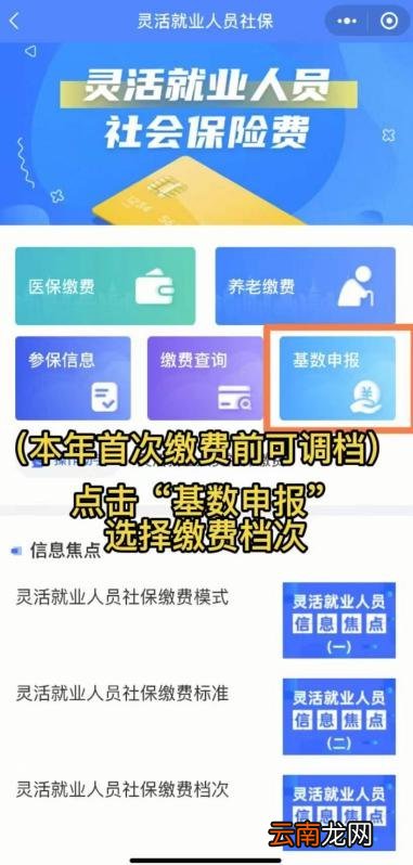 大连灵活就业人员社保缴费网上怎么办