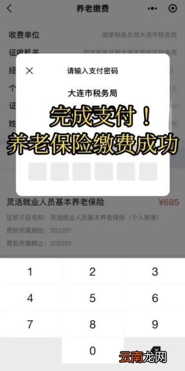 大连灵活就业人员社保缴费网上怎么办