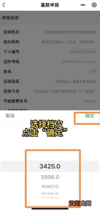 大连灵活就业人员社保缴费网上怎么办