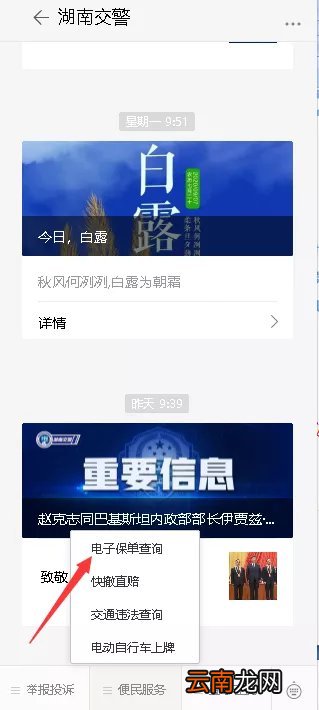 附入口 湖南车险电子保单在怎么查询