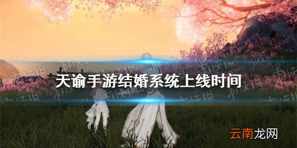 天谕手游结婚功能什么时候上线 天谕手游结婚功能上线时间
