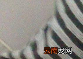 怎么用绿茶做面膜