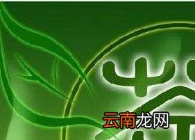 喝绿茶的好处和坏处