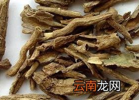 地骨皮茶