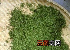 信阳毛尖的喝法和泡法