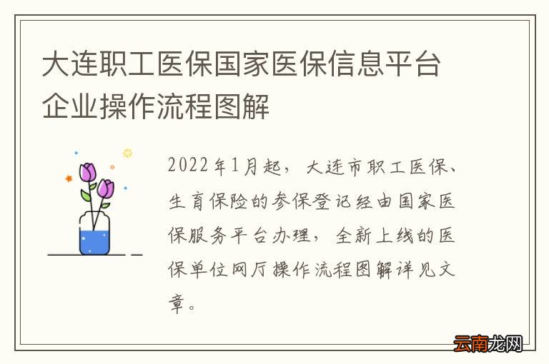 大连职工医保国家医保信息平台企业操作流程图解