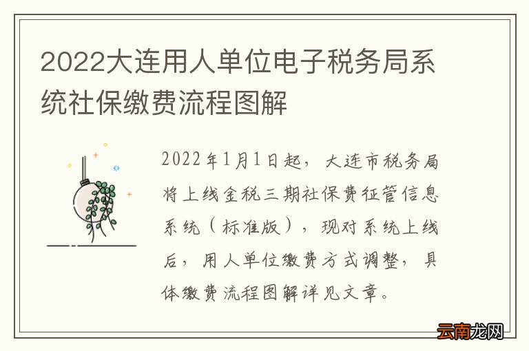 2022大连用人单位电子税务局系统社保缴费流程图解