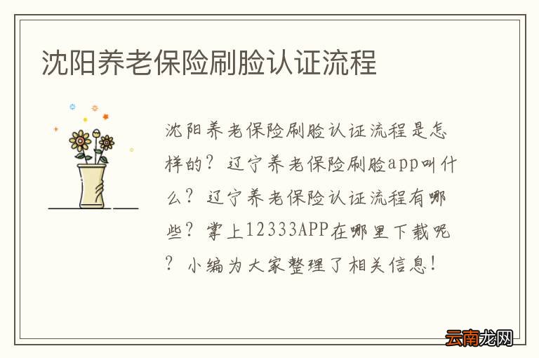 沈阳养老保险刷脸认证流程