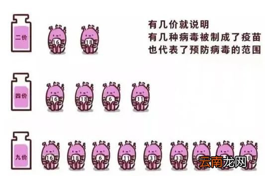 太原HPV疫苗接种攻略常见问答