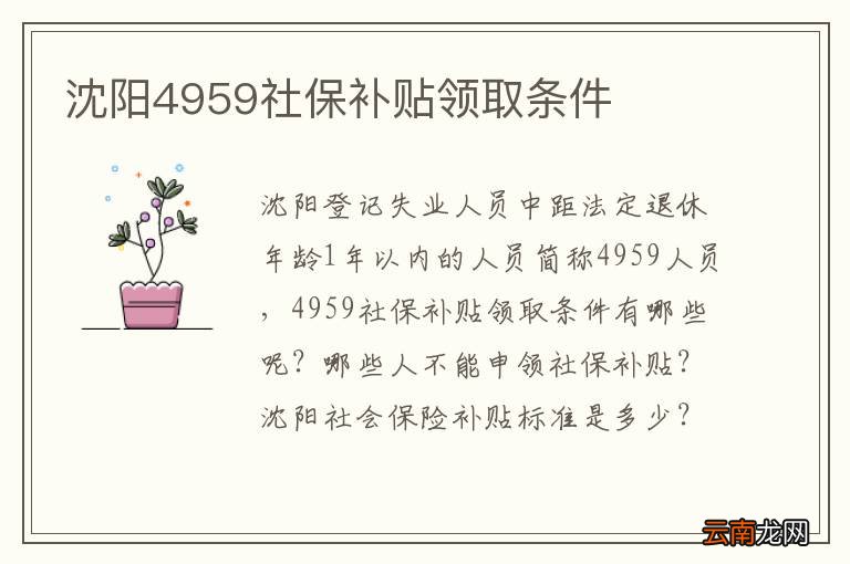 沈阳4959社保补贴领取条件