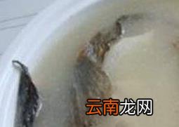 山花鱼怎么煲汤 山花鱼煲汤的功效
