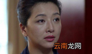 冯国强冯鑫是什么电视剧 什么时候播出的呢